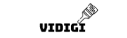 Логотип vidigi